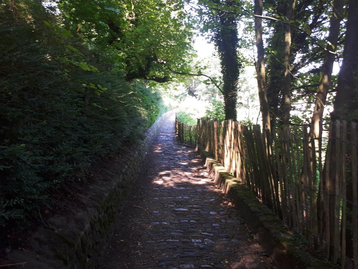 Gite Au Coeur De Kassel Buitenkant foto